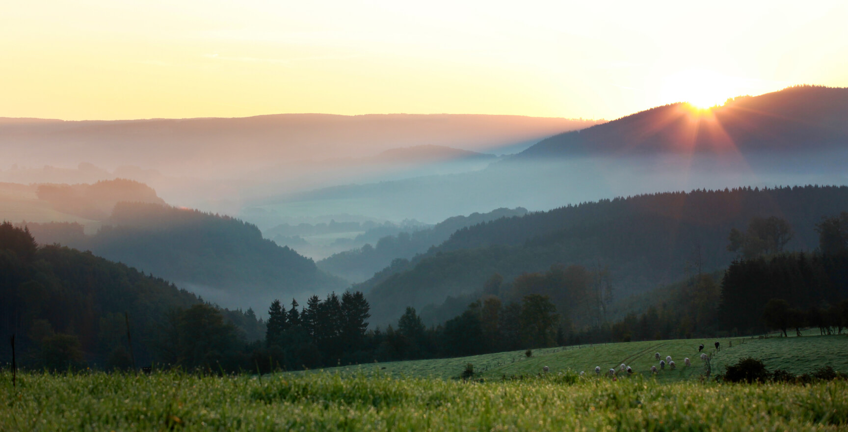 Accueil - Chèque Waloco - photo 3